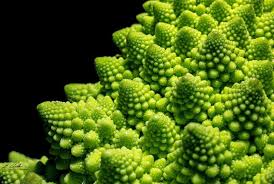 When many of us want fresh food, the first thought is to go to the grocery store. Macro Photography Ideas Food Adaptalux Com