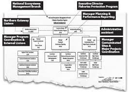 organizational chart from leaked email shows northern