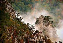 Tara national park was established in 1981 and it encompasses tara and part of the zvijezda mountain, in a large bend of the drina river. Tara Mountain Wikipedia