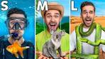 24 Dieren Aaien Van Klein Naar Groot! *Challenge* - YouTube