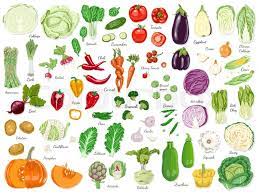 Check spelling or type a new query. Big Set Of Colored Vegetables Vector Stock Vector Colourbox