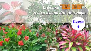 Posted on march 28, 2009 by luzna. Daftar Lengkap Nama Ilmiah Tanaman Hias Daun Plus Gambar Dan Deskripsi Berita Pertanian Mitalom