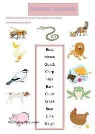 Resultado De Imagen De Animal Sounds Animal Sounds Kindergarten Worksheets Kindergarten Listening Center