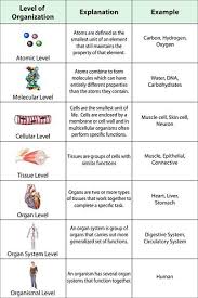 Anatomy And Physiology Science Olympiad Student Center Wiki