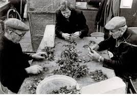 Herman finkers, wishful singing, wishful singing & herman finkers — conductus diastematica vocis armonica in mysterium, 2017 01:44. Floranews Com De Fuchsia Is Balkon En Terrasplant Van Het Jaar