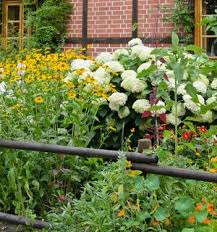 Gartencenter Beier Grun Erleben Straucher Und Baume