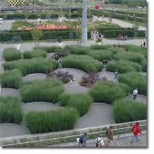 Staudenfoto Zu Miscanthus Sinensis Gracillimus Chinaschilf Stauden Moderner Garten Bepflanzung