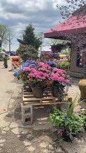 We did not find results for: Perricone Garden Center Nursery Home Facebook