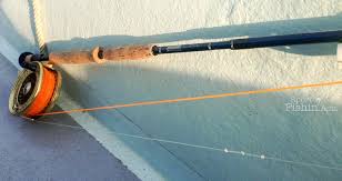 fly fishing for sailfish: floating or