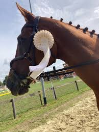 Aktuelle Informationen aus dem internationalen Turniersport