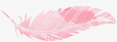 A beautiful print of pink feathers perfect for any room. Watercolor Feather Png Transparent Png 1000x597 Free Download On Nicepng