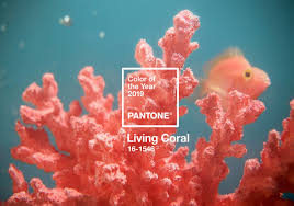 Take the virtual tour of this gorgeous home now. The Pantone 2019 Color Of The Year Is Living Coral Miami Luxury Homes