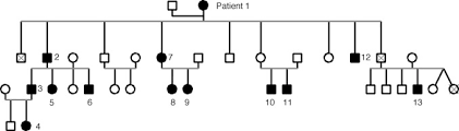 A Curious Fact Photic Sneeze Reflex Autosomical Dominant Compelling Helio Ophthalmic Outburst Syndrome Sciencedirect