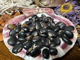 Image result for Mucuna