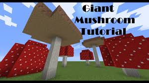 Dig a 1x1 hole where you want your farm to be. How To Grow Giant Mushrooms Minecraft Tutorial Youtube