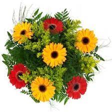 San josé's downtown is lovely, with adobe houses and jacaranda trees. Flower Delivery San Jose Del Cabo Online Florist San Jose Del Cabo
