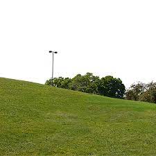 This Huge Background Texture Is A Gently Sloping Green Grass Hill Grassy Hill Grass Textures Trees To Plant