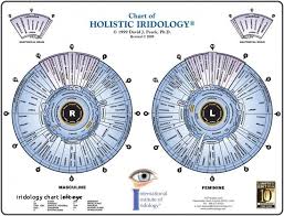 iridology chart fresh iridology pdf buscar con google iris t