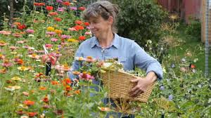 Maybe you would like to learn more about one of these? Foundations For Growing Cut Flowers Youtube