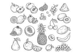 Sketch Fruits Strawberry Melon Peach Mango Banana Pineapp 1024264 Illustrations Design Bundles In 2021 Fruit Sketch Fruit Tattoo Peach Mango