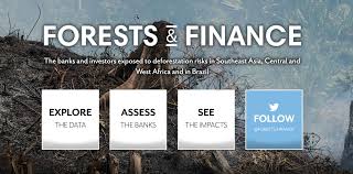 Telusuri Data Forests Finance