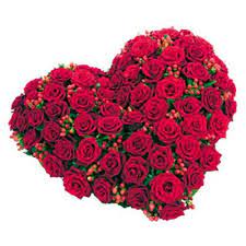 Naturalskincarewomen Com Natural Skin Care Products For Women Rose Flower Wallpaper Love Flowers Flowers Online
