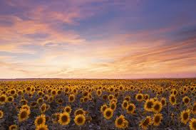 La fiabilité de la situation est très bonne. Meteo Troyes Champagne Tourisme