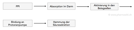 Als protonenpumpe werden in der biochemie und physiologie allgemein transmembranproteine bezeichnet, die protonen über eine biologische membran, gegen einen elektrochemischen gradienten, transportieren. Pharmawiki Protonenpumpen Inhibitoren