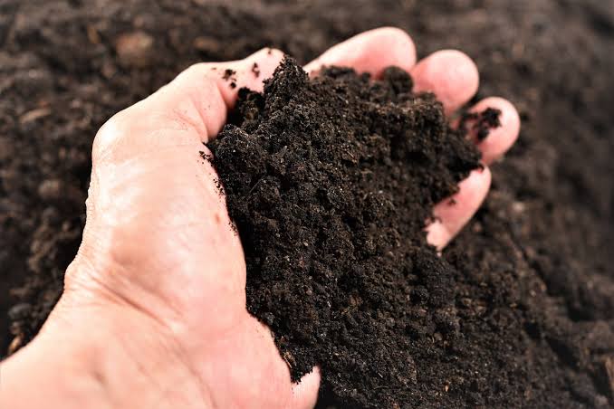 Natural Organic Matter