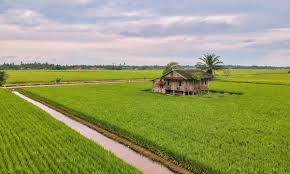 Kuala Langat, Malaysia Vacation Rentals ...