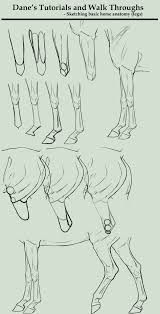 Tutorial Walk Through Sketching Horse Legs By Agerskovart Deviantart Com On Deviantart Horse Drawings Animal Drawings Horse Illustration
