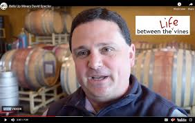 Bells Up's Dave Specter Featured in Life Between the Vines Video Interview 