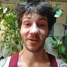 What kind of plant should I put in this little pot ?