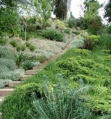 Image Result For Shrub Plan Hillside Meadow Hillside Landscaping Sloped Garden Landscape Stairs