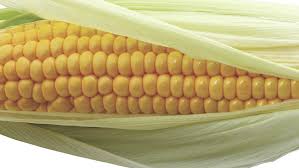 People With Thalassemia Should Avoid Corn For Better Blood