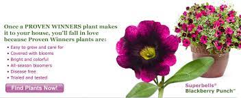 Check spelling or type a new query. Annuals Proven Winners