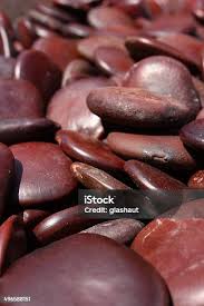 Image result for Entada gigas