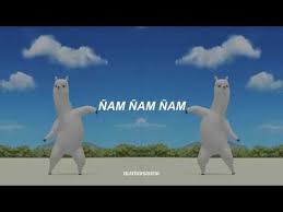Mi Pa Su Su Sum Youtube Danca Papel De Parede Wallpaper Lhama