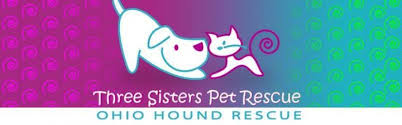 Find the perfect pet sitter in cincinnati, oh for your furry friends. Pets For Adoption At Three Sisters Pet Rescue Ohio Hound Rescue In Cincinnati Oh Petfinder