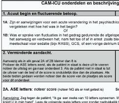 Image result for CAM-ICU