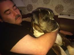 Shocking!! Interesting Facts About Murdered George Floyd That Will Shock  You Global News GHMay 28, 2020 George Floyd was known as a father, friend,  and a well-liked co-worker at several businesses in