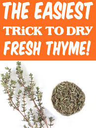 Greek and italian cuisines mostly use thyme along with a dash of lemon turning them into a perfect and powerful duo. Pin On Frugal Girls Recipes