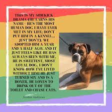 Help the poor parents collect all their children and send them home! Care For Animals