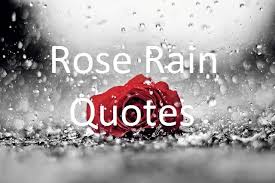 Drowning, engulfed by my past show me a mirror let me see who i really am. Rose Rain Quotes Home Facebook