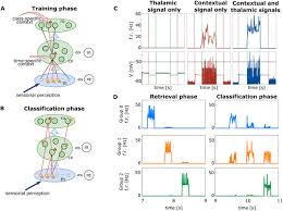 The dirty rotter dumped his wife to marry his secretary. Thalamo Cortical Spiking Model Of Incremental Learning Combining Perception Context And Nrem Sleep