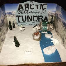Tundra Biome In A Box Project Arctic Tundra Diorama Biomes Project Arctic Tundra Ecosystems Projects