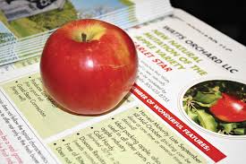Find stark nursery fruit trees. Stark Bro S Testing New Apple Scarlet Star Good Fruit Grower