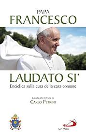 Papa francesco, passioni e curiosità. Laudato Si Enciclica Sulla Cura Della Casa Comune Guida Alla Lettura Di Carlo Petrini Italian Edition Ebook Jorge Bergoglio Papa Francesco Amazon De Kindle Shop