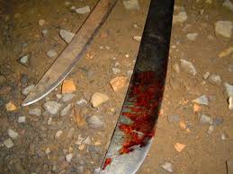 Cerrado InFoco - Homem é assaltado e leva facãozada no... | Facebook