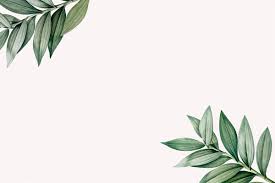 Download Premium Vector Of Tropical Botanic Leaves Background Illustration By Donlaya About Greenery Greenery Foliage Salt Background Art And Backdrop 58496 Desktop Wallpaper Art Computer Wallpaper Desktop Wallpapers Leaf Background